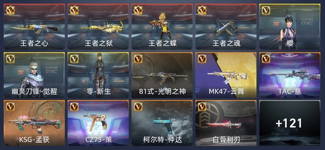 穿越火线：枪战王者V1 208英雄武器 新锐