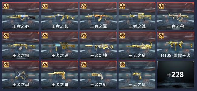 穿越火线：枪战王者V8 333英雄武器 新锐