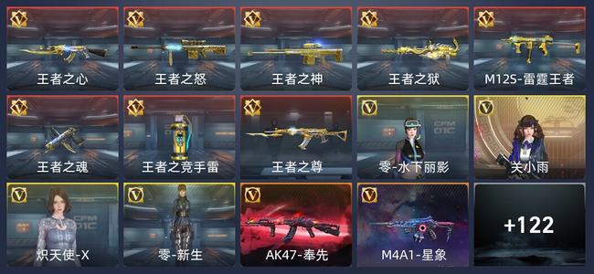 穿越火线：枪战王者V6 208英雄武器 新锐