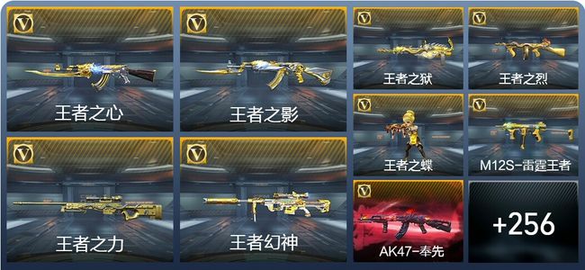 穿越火线：枪战王者V8 29王者武器 294英雄武器 7英雄角色 513万化 枪王