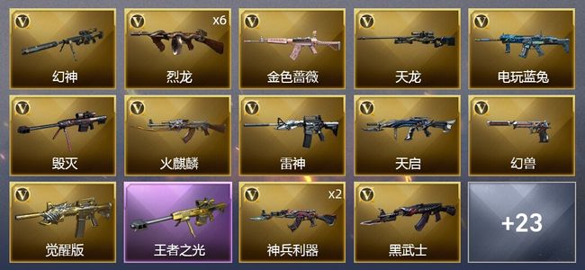 穿越火线（CF）2王者武器 37V武器 2V角色 7皮肤 可排位 传奇