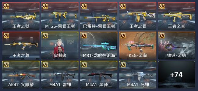 穿越火线：枪战王者V5 6王者 87英雄武器 1英雄角色 48万化 专家S