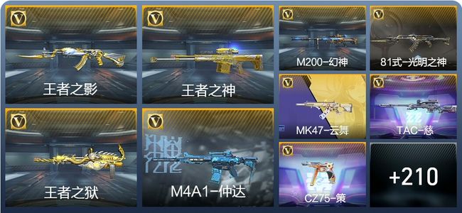 穿越火线：枪战王者V5 5王者武器 245英雄武器 402万化 枪圣S