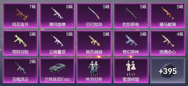 和平精英【苹果版】1载具 11升级枪 4粉装 6尾迹 217枪皮 196套装 7,0245热力 15印记 星钻