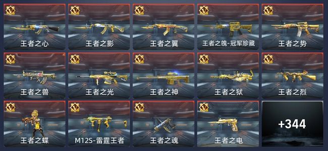 穿越火线：枪战王者V9 29王者 349英雄武器 12英雄角色 504万化 枪神