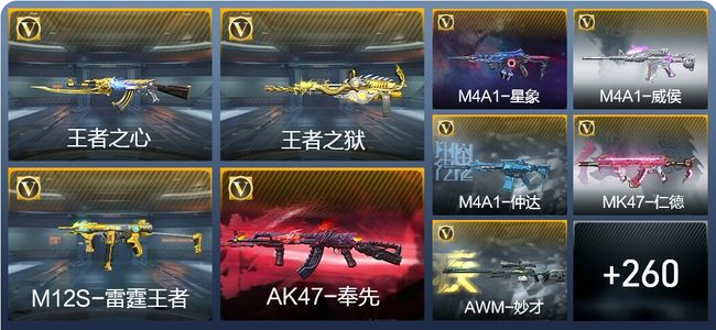 穿越火线：枪战王者V8 29王者武器 294英雄武器 12英雄角色 638万化 枪神