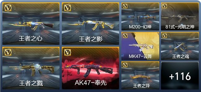 穿越火线：枪战王者V6 8王者武器 146英雄武器 2英雄角色 290万化 枪王SSS