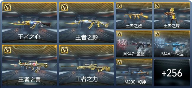 穿越火线：枪战王者21王者武器 265英雄武器 9英雄角色 449万化 专家S