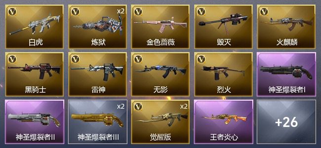 穿越火线（CF）2王者武器 23V武器 1V角色 17皮肤 可排位 宗师