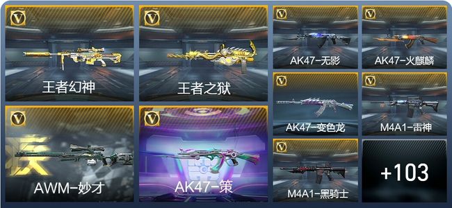 穿越火线：枪战王者V6 4王者武器 121英雄武器 2英雄角色 255万化 精英