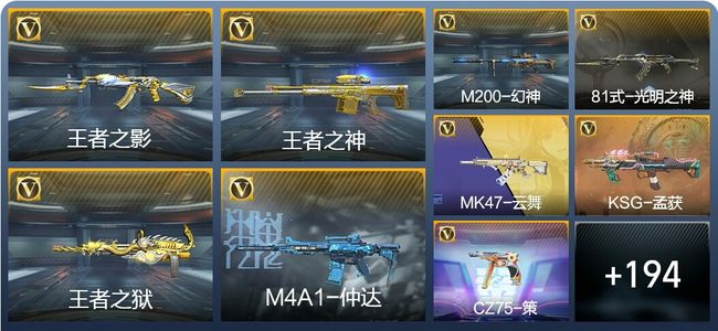 穿越火线：枪战王者V5 5王者武器 227英雄武器 4英雄角色 399万化 枪王SSS