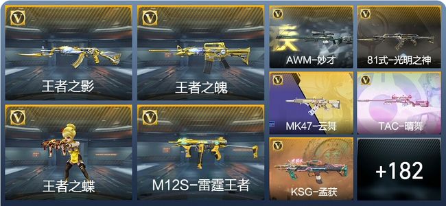 穿越火线：枪战王者V6 7王者武器 213英雄武器 5英雄角色 437万化 枪王SS