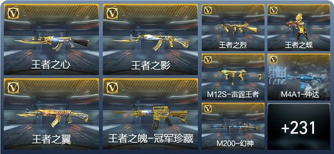 穿越火线：枪战王者23王者武器 240英雄武器 13英雄角色 533万化 枪神