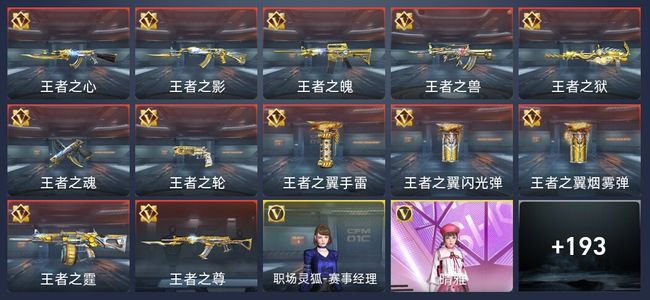 穿越火线：枪战王者V7 12王者 200英雄武器 7英雄角色 353万化 专家S