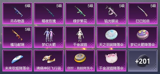 和平精英6升级枪 2粉装 1尾迹 140枪皮 83套装 41084热力 3印记 星钻