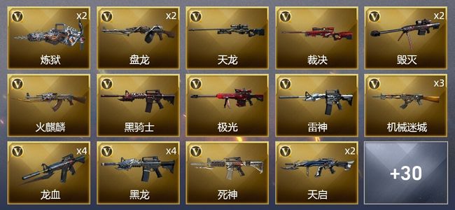 穿越火线（CF）3王者武器 3炫金武器 53V武器 5皮肤 可排位 传奇