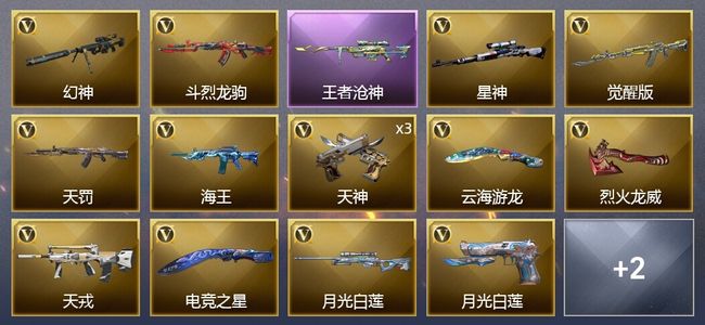 穿越火线（CF）1王者武器 16V武器 1V角色 2皮肤 可排位 枪王