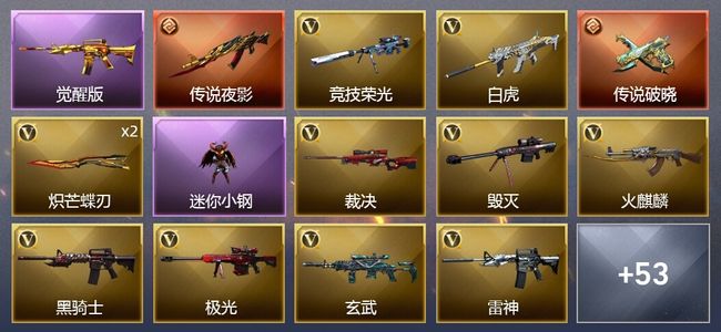 穿越火线（CF）2传说武器 4王者武器 47V武器 15皮肤 可排位 新锐