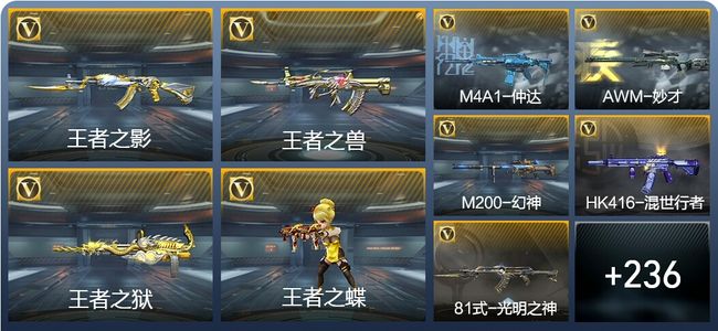 穿越火线：枪战王者9王者武器 245英雄武器 7英雄角色 451万化 枪圣