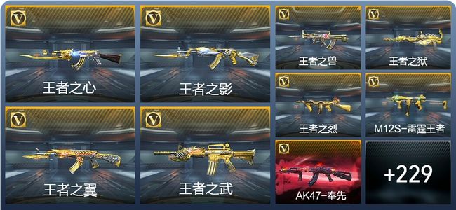 穿越火线：枪战王者V8 37王者武器 238英雄武器 11英雄角色 406万化 枪王SSS