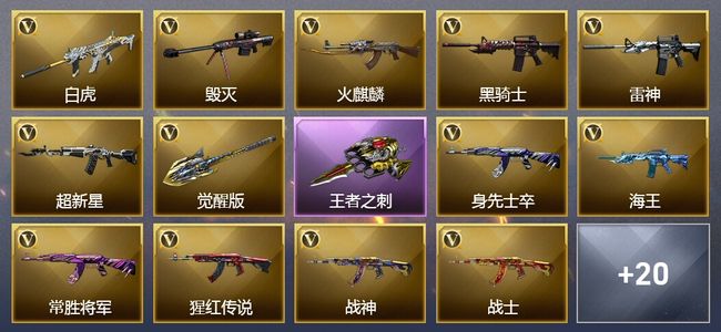 穿越火线（CF）1王者武器 25V武器 16皮肤 可排位 新锐