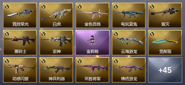 穿越火线（CF）1王者武器 59V武器 1V角色 26皮肤 可排位 传奇