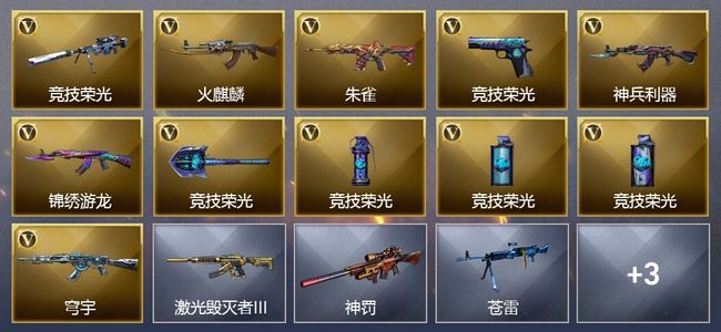 穿越火线（CF）11V武器 1皮肤 可排位 传奇