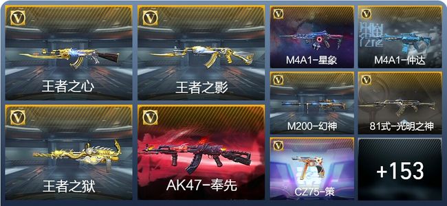 穿越火线：枪战王者V5 9王者武器 182英雄武器 2英雄角色 334万化 枪王