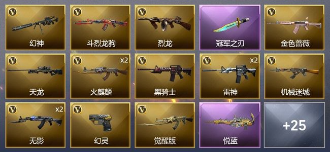 穿越火线（CF）1王者武器 1炫金武器 40V武器 3V角色 13皮肤 可排位 枪王