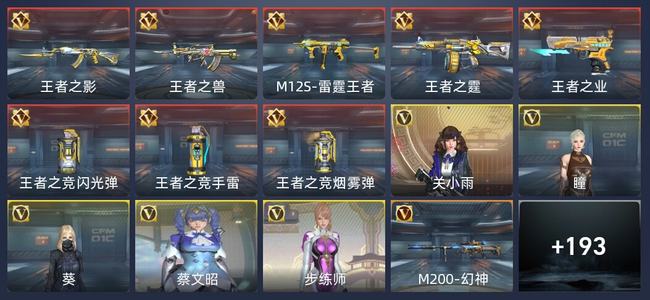 穿越火线：枪战王者V6 206英雄武器 5英雄角色 309万化 新锐