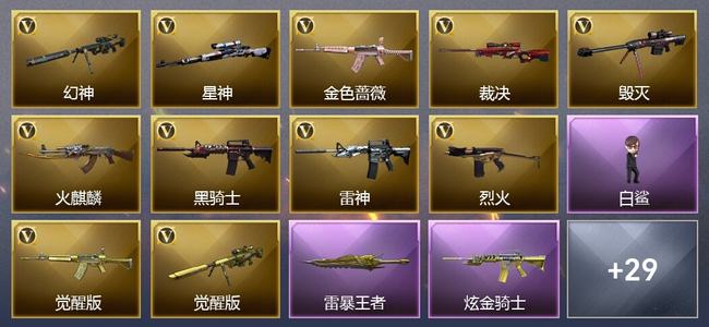穿越火线（CF）0传说角色 1传说武器 10王者武器 1炫金武器 37V武器 10V角色 0皮肤 可排位 枪王