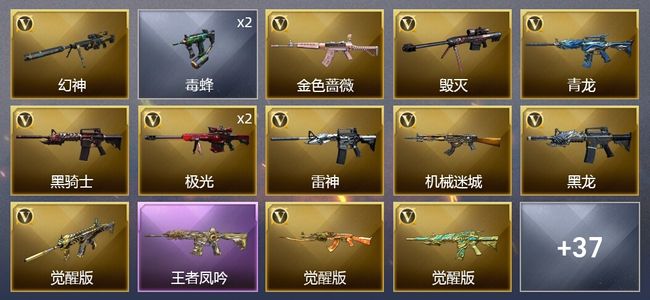 穿越火线（CF）1王者武器 41V武器 2V角色 13皮肤 可排位 新锐