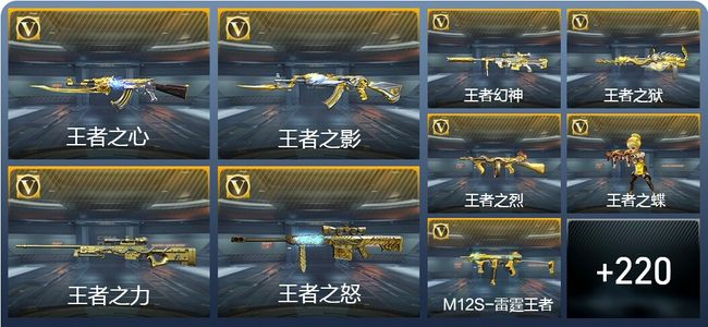 穿越火线：枪战王者23王者武器 229英雄武器 7英雄角色 556万化 专家S