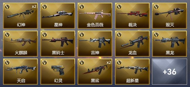 穿越火线（CF）1王者武器 4炫金武器 43V武器 2V角色 14皮肤 可排位