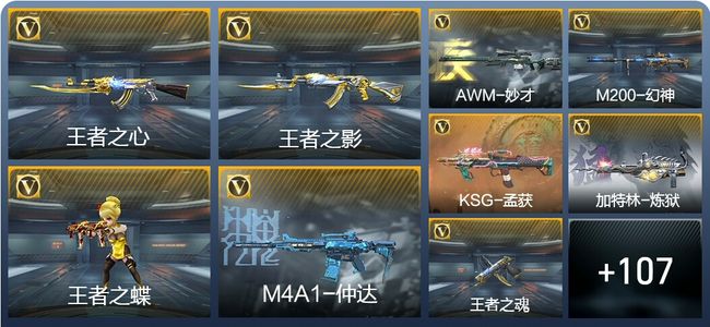 穿越火线：枪战王者V1 7王者武器 131英雄武器 4英雄角色 196万化 枪王SS