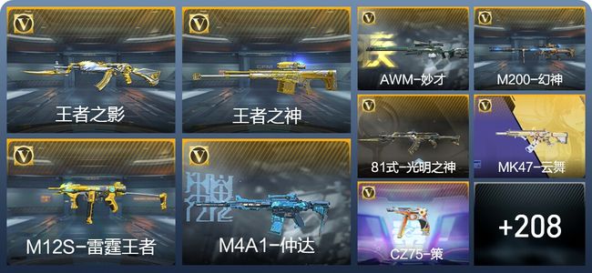 穿越火线：枪战王者V5 11王者武器 248英雄武器 5英雄角色 432万化 枪神