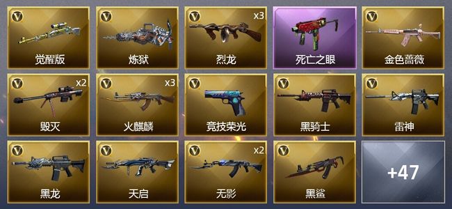 穿越火线（CF）1炫金武器 49V武器 16皮肤 可排位 枪王