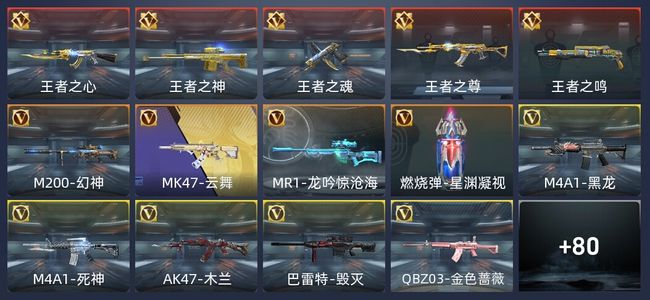 穿越火线：枪战王者5王者 94英雄武器 119万化 专家S