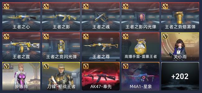 穿越火线：枪战王者V6 9王者 213英雄武器 3英雄角色 257万化 专家S