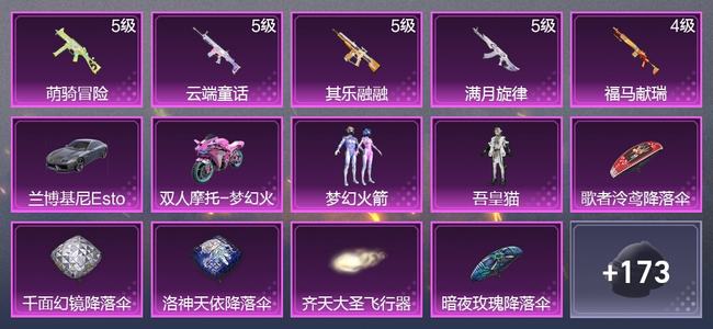 和平精英【苹果版】2载具 5升级枪 2粉装 4尾迹 109枪皮 74套装 3,5385热力 皇冠
