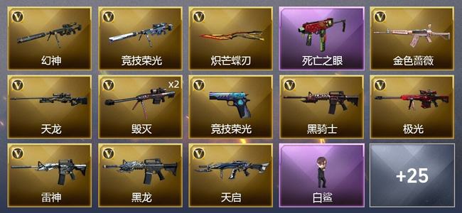 穿越火线（CF）34V武器 2V角色 11皮肤 可排位 传奇
