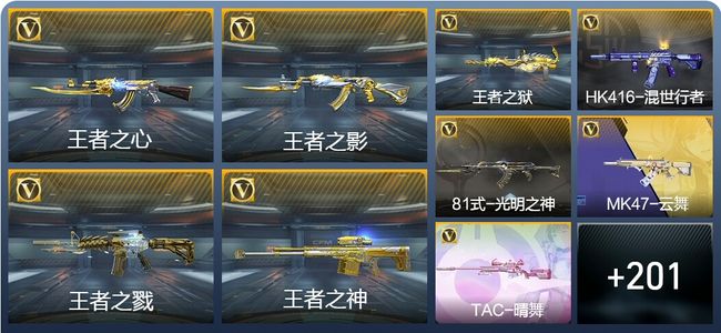 穿越火线：枪战王者17王者武器 210英雄武器 10英雄角色 369万化 专家S