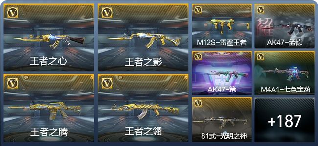 穿越火线：枪战王者V8 18王者武器 210英雄武器 9英雄角色 365万化 新锐