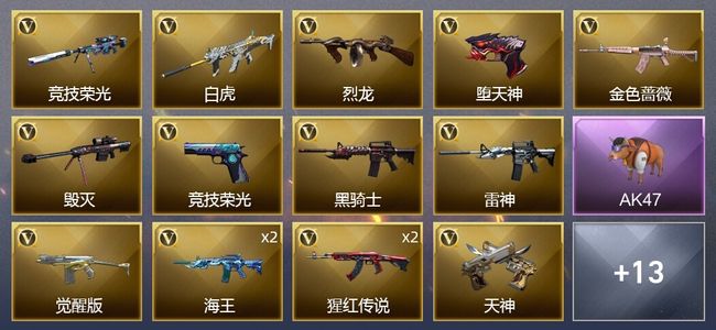 穿越火线（CF）24V武器 1V角色 12皮肤 可排位 宗师
