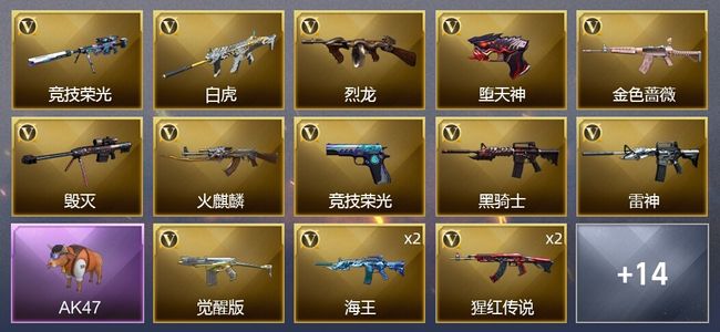 穿越火线（CF）25V武器 1V角色 12皮肤 可排位 宗师