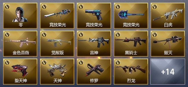 穿越火线（CF）25V武器 1V角色 12皮肤 可排位 枪王