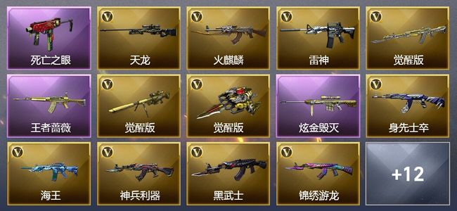 穿越火线（CF）1王者武器 1炫金武器 17V武器 4皮肤 可排位 传奇