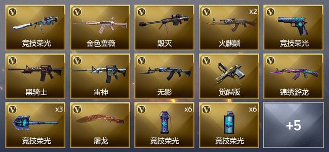 穿越火线（CF）33V武器 13皮肤 可排位 传奇