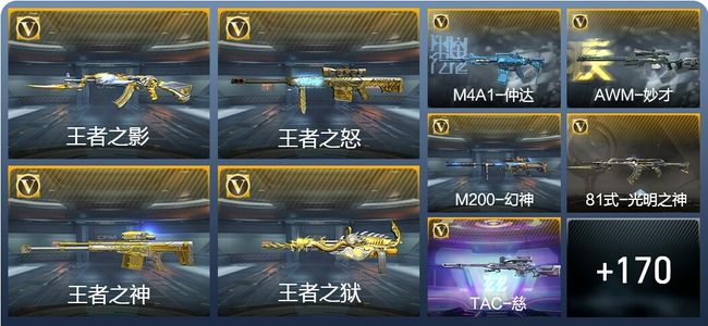 穿越火线：枪战王者V7 15王者武器 179英雄武器 8英雄角色 263万化 专家S