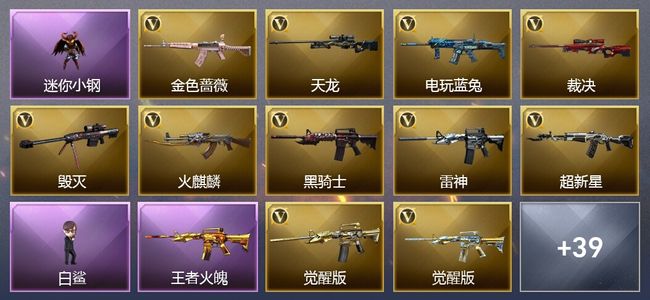 穿越火线（CF）5王者武器 28V武器 2V角色 19皮肤 可排位 枪王